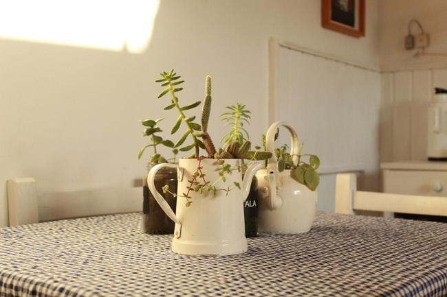 Alma De Proa Bed & Breakfast San Antonio de Areco Exterior photo